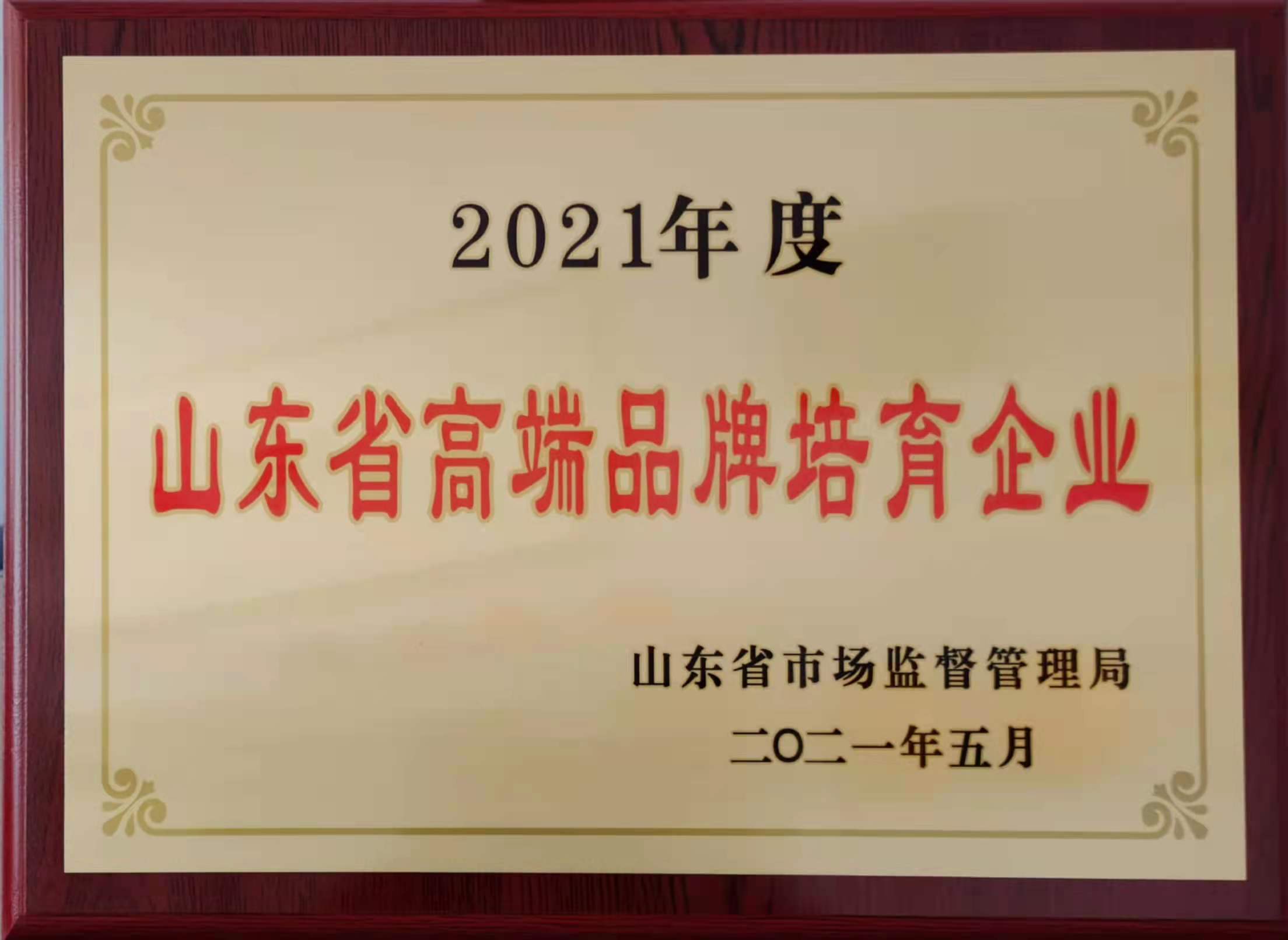 香蕉污视频下载颜料山东省高端品牌培育企业